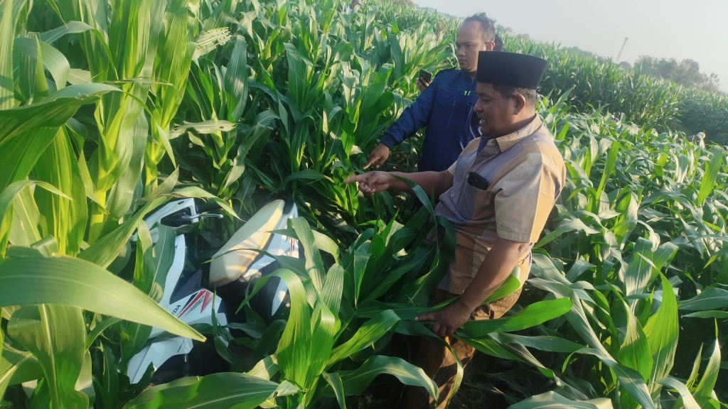 Motor Diduga Hasil Curian Ditemukan di Sawah Probolinggo, Warga Boleh Cek ke Polisi