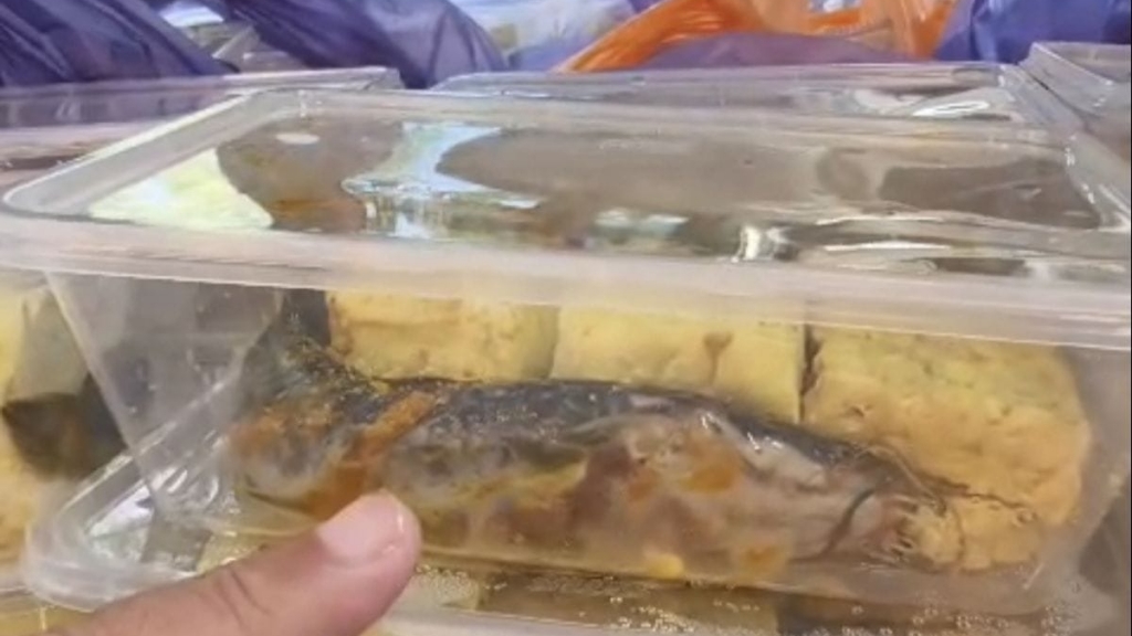 Seribuan MBG Menu Lele Mentah Marinasi Ditolak SMA di Madura