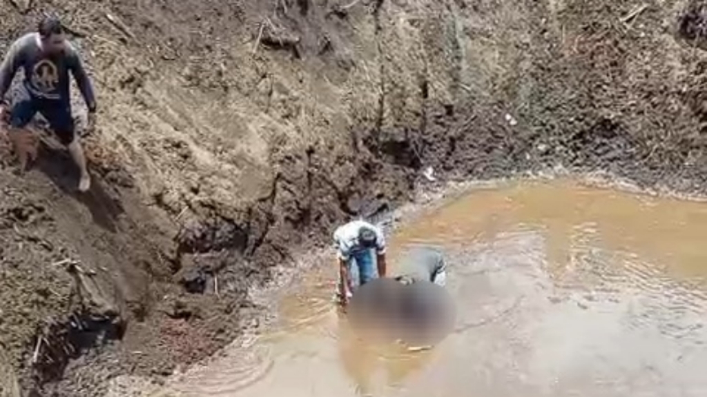 Ibu Tertidur, Balita Main Sendirian Lalu Ditemukan Tewas di Sungai Pasuruan