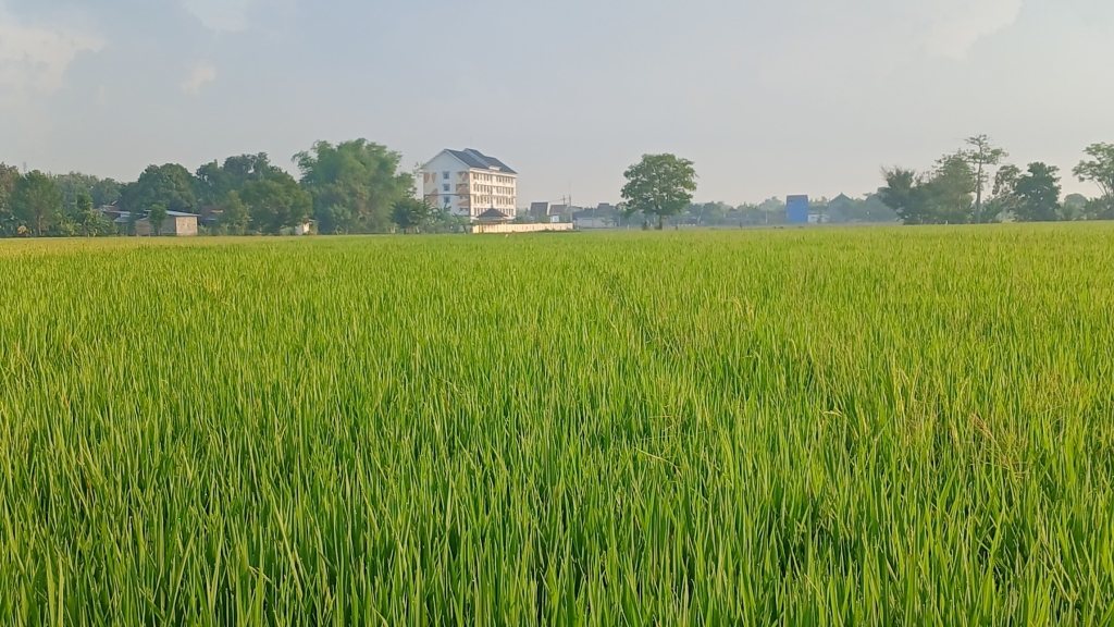 Pemkot Pasuruan Bebaskan Pajak Sektor Pertanian