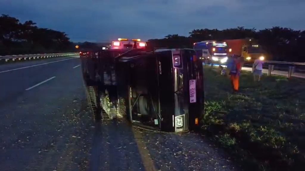 Pikap Muat Ayam Pecah Ban Terguling di Tol Gempol–Pasuruan