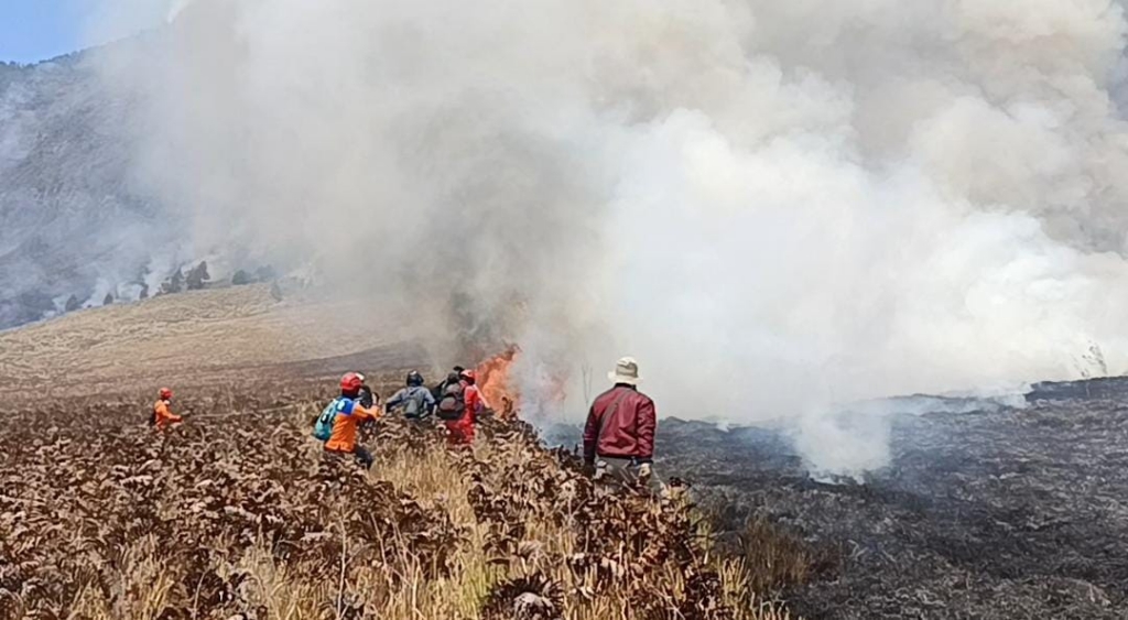 Kebakaran Savana Bromo Ancam Habitat Satwa Liar 