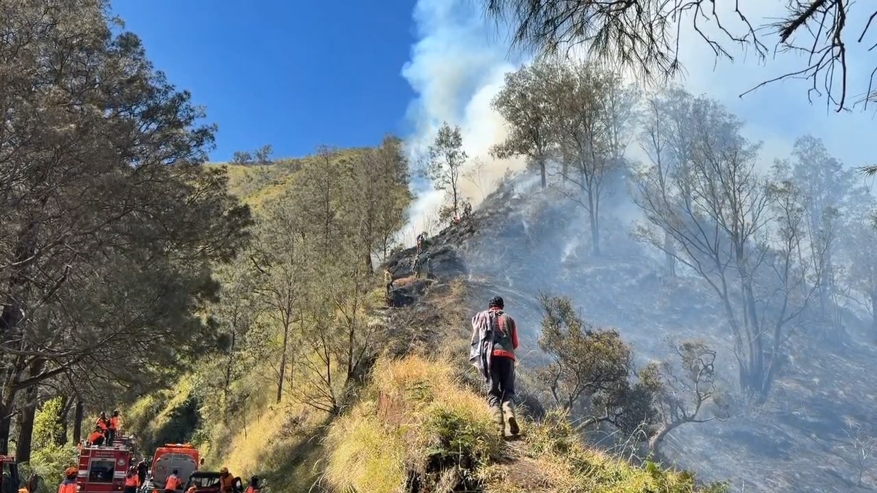Jembatan Kaca Ditutup Sementara Imbas Kebakaran Kawasan Bromo