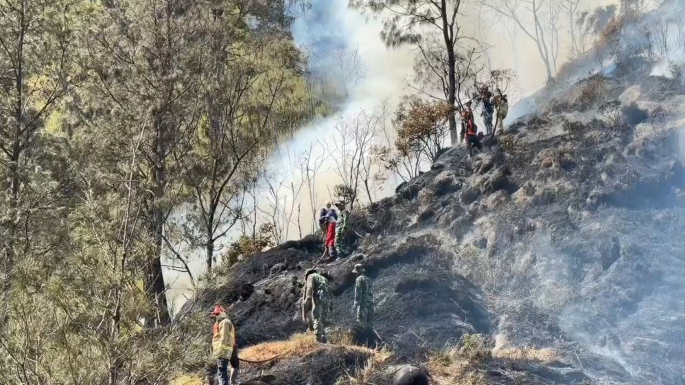 Hari ke-12 Kebakaran Kawasan Bromo Padam