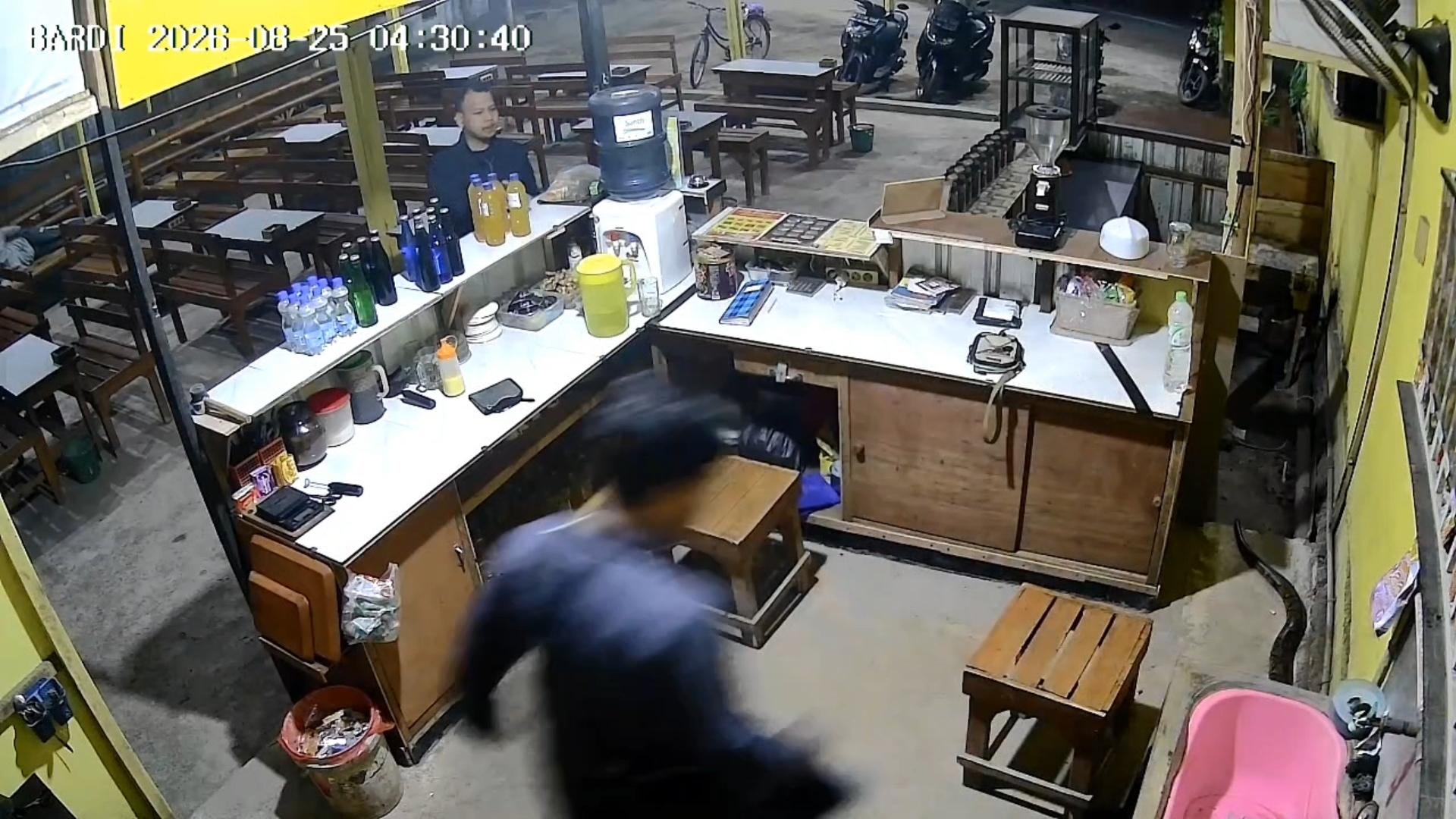 Piton 5 Meter Masuk Warung Kopi di Pasuruan, Terekam CCTV