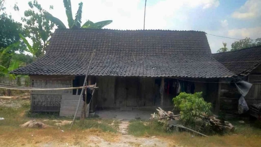 Petani Bojonegoro Ditahan Gara-gara Curi Kayu Jati, Masuk Desil 1 Tapi Tidak Dapat Bansos