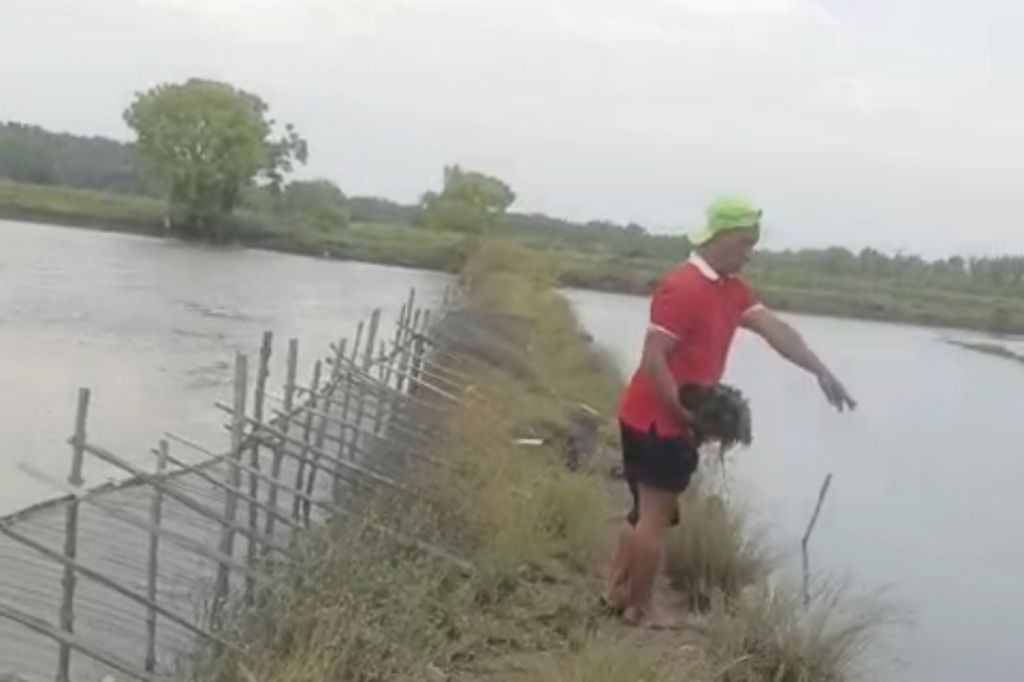 Produksi Ikan Budi Daya Kota Pasuruan Lampaui Target