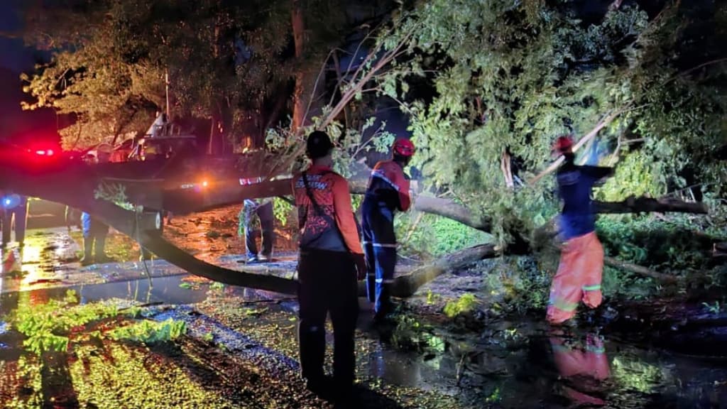 17 Rumah Rusak dan 25 Pohon Tumbang Diterjang Angin Kencang di Pasuruan, 1 Warga Luka Parah 