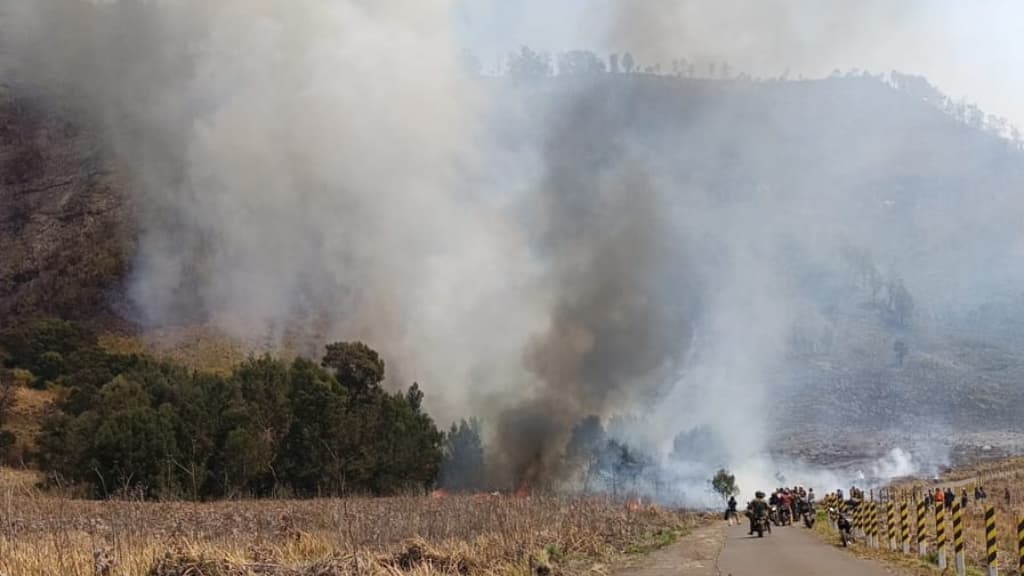 Kebakaran Bromo Sudah Capai 120 Hektare, Pemadaman Andalkan Helikopter Water Bombing