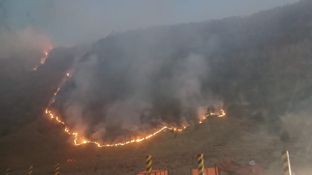 Kebakaran Hutan dan Lahan di Bromo Capai 520 Hektare 