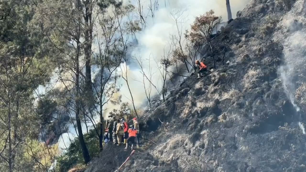 Kebakaran Hutan dan Lahan di Kawasan Bromo Capai 1.120 Hektare