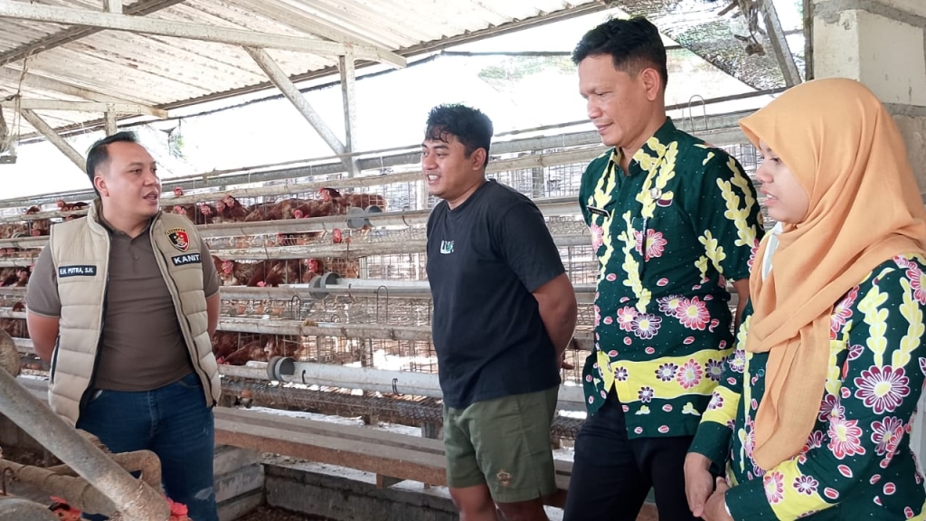 Stok Telur Ayam di Pasuruan Aman, Harganya Normal