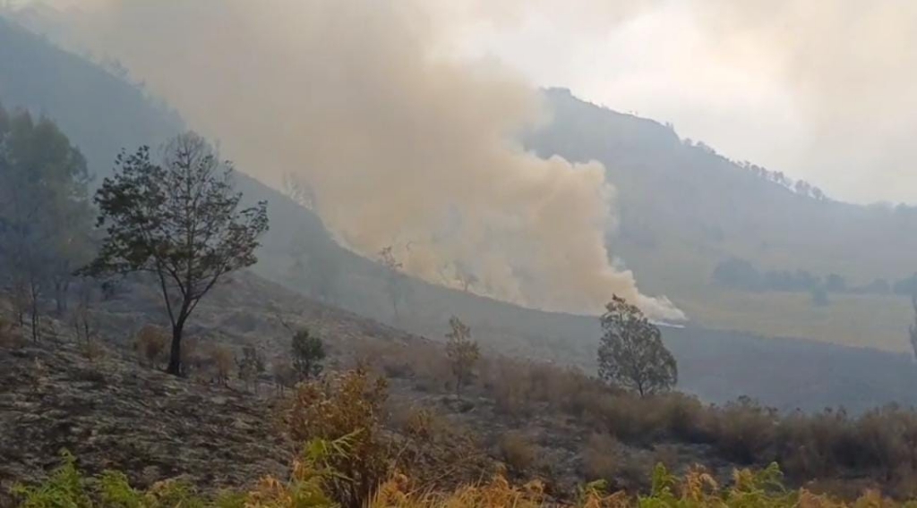 Kebakaran Hutan di Kawasan Bromo Terus Meluas, Pemadaman Terkendala Medan Berat