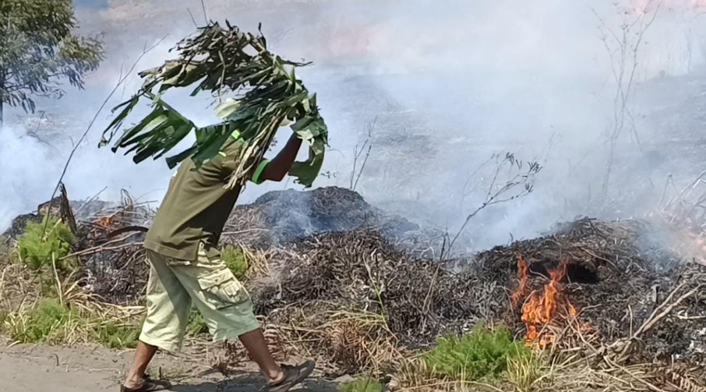Karhutla Bromo Belum Terkendali, Warga Andalkan Cara Tradisional Bantu Jinakkan Api