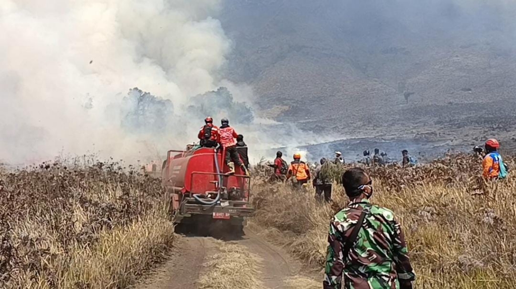 Karhutla Bromo Sudah Capai 51 Hektare, Ratusan Personel Siaga 24 Jam Padamkan Api