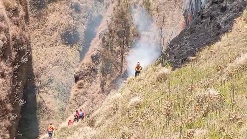 Kebakaran Bromo Mulai Menjalar ke Puncak B29 Lumajang