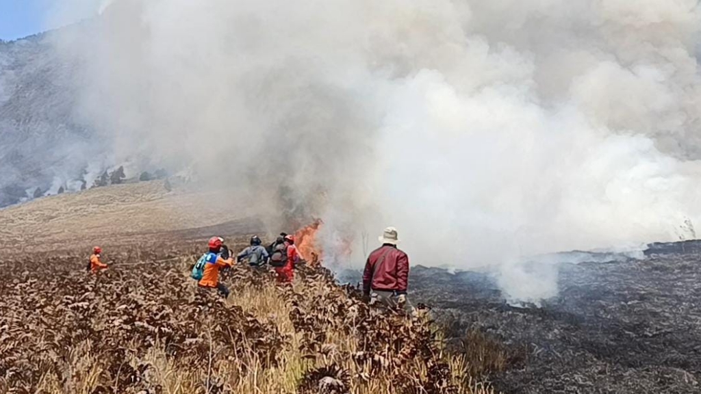 Kebakaran Bromo Capai 176 Hektare