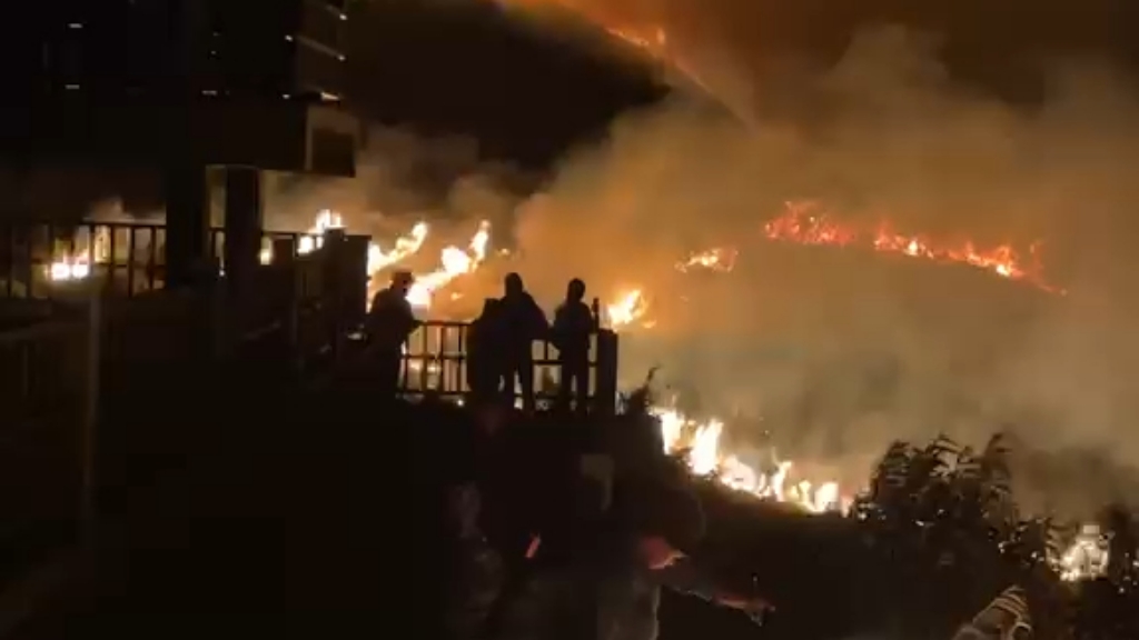 Kebakaran Semakin Meluas, Wisata Bromo Ditutup Total!