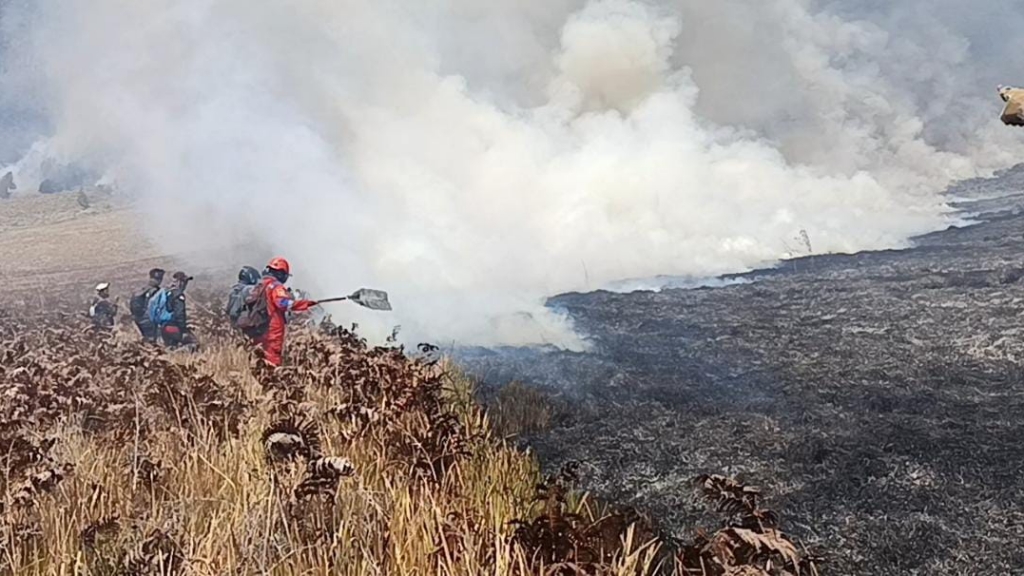 Bromo Ditutup karena Kebakaran, Pengunjung Bisa Reschedule atau Refund, Begini Caranya
