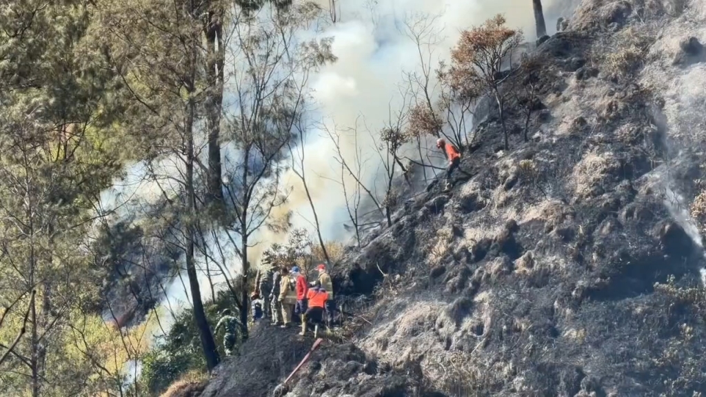 Kebakaran Bromo Sudah Capai 940 Hektare, Akses Ditutup Total