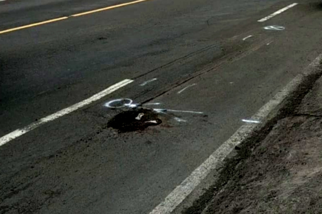 Motor 'Adu Tanduk' dengan Motor di Jalur Tengkorak Rejoso Pasuruan, Satu Orang Tewas