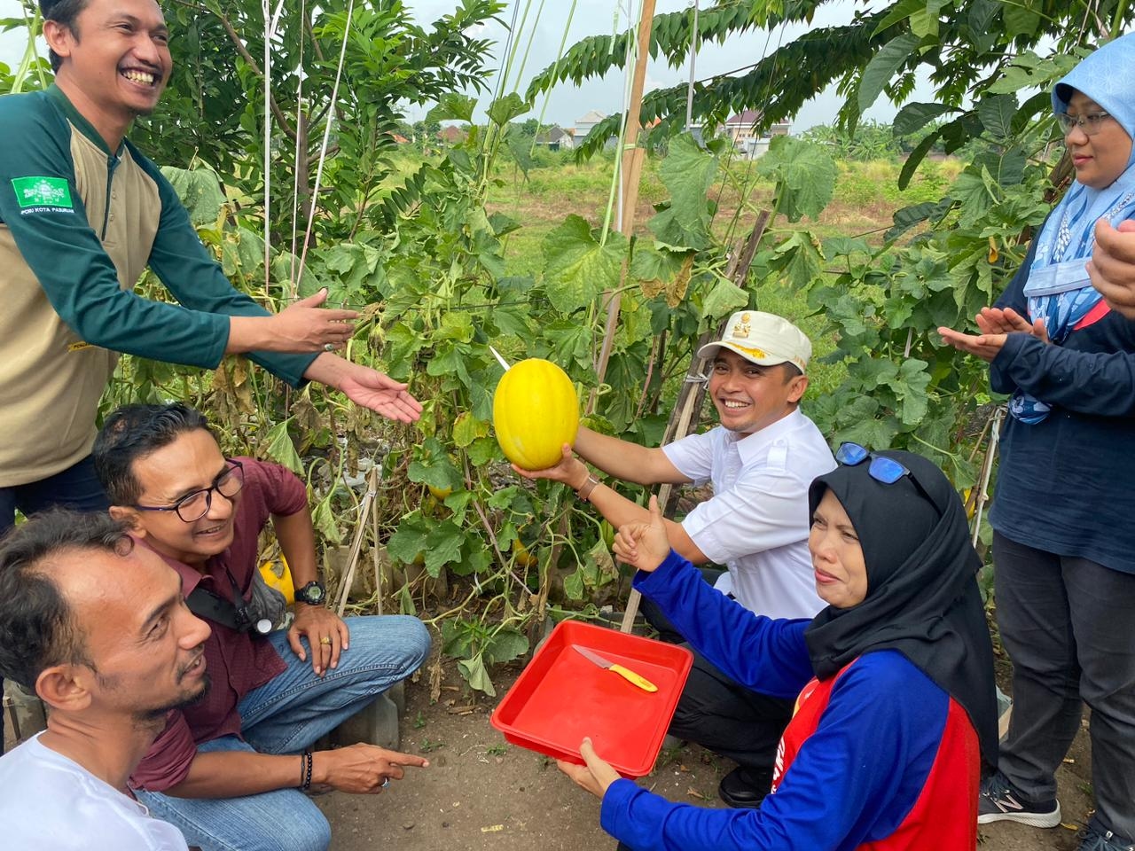 Kuatkan Urban Farming, Wakil Walikota Hingga LPPNU Kota Pasuruan Hadiri Acara Keren KRPL Maju Bersama Purworejo