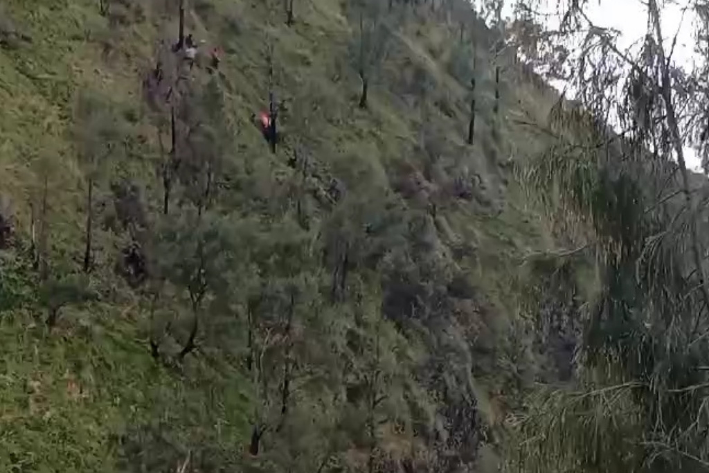 Wisman Korea Tewas Terjatuh ke Jurang 200 Meter di Bromo