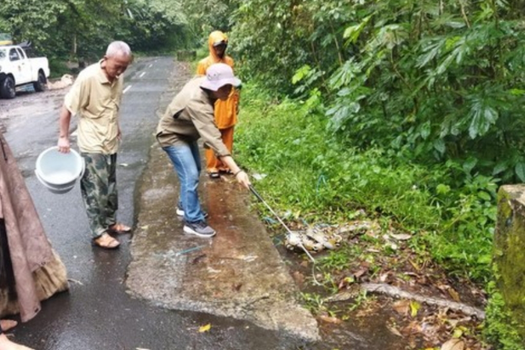Puluhan Ular Sanca dari Jakarta Dilepasliarkan di Bromo