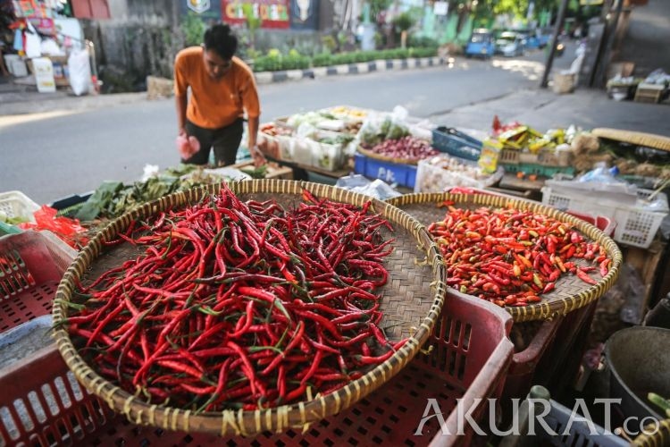 Awal Ramadan, Harga Cabai Rawit di Pasuruan Melonjak Rp 120 Ribu